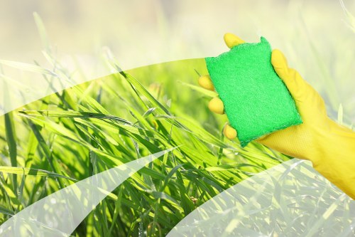 Professional sofa cleaning in a Barnet living room