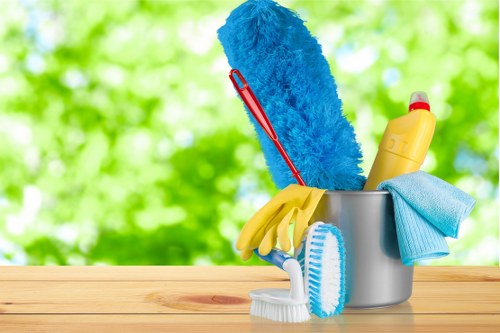 Professional carpet cleaning in a Barnet home