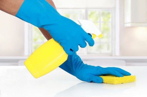 Steam carpet cleaning equipment in a Barnet home interior