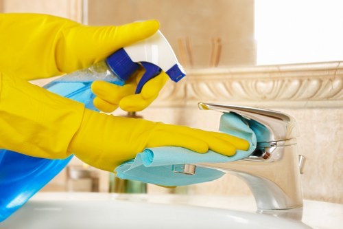 Technician treating carpet stains caused by pets in Barnet