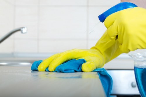 Professional cleaner inspecting carpet fibres before treatment