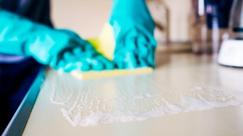 Cleaner treating a carpet stain in a Barnet property