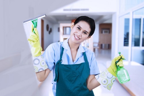 Professional carpet steam cleaning process in Barnet